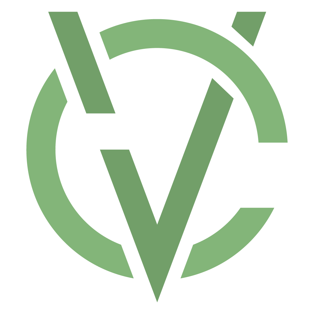 Varion Management Team